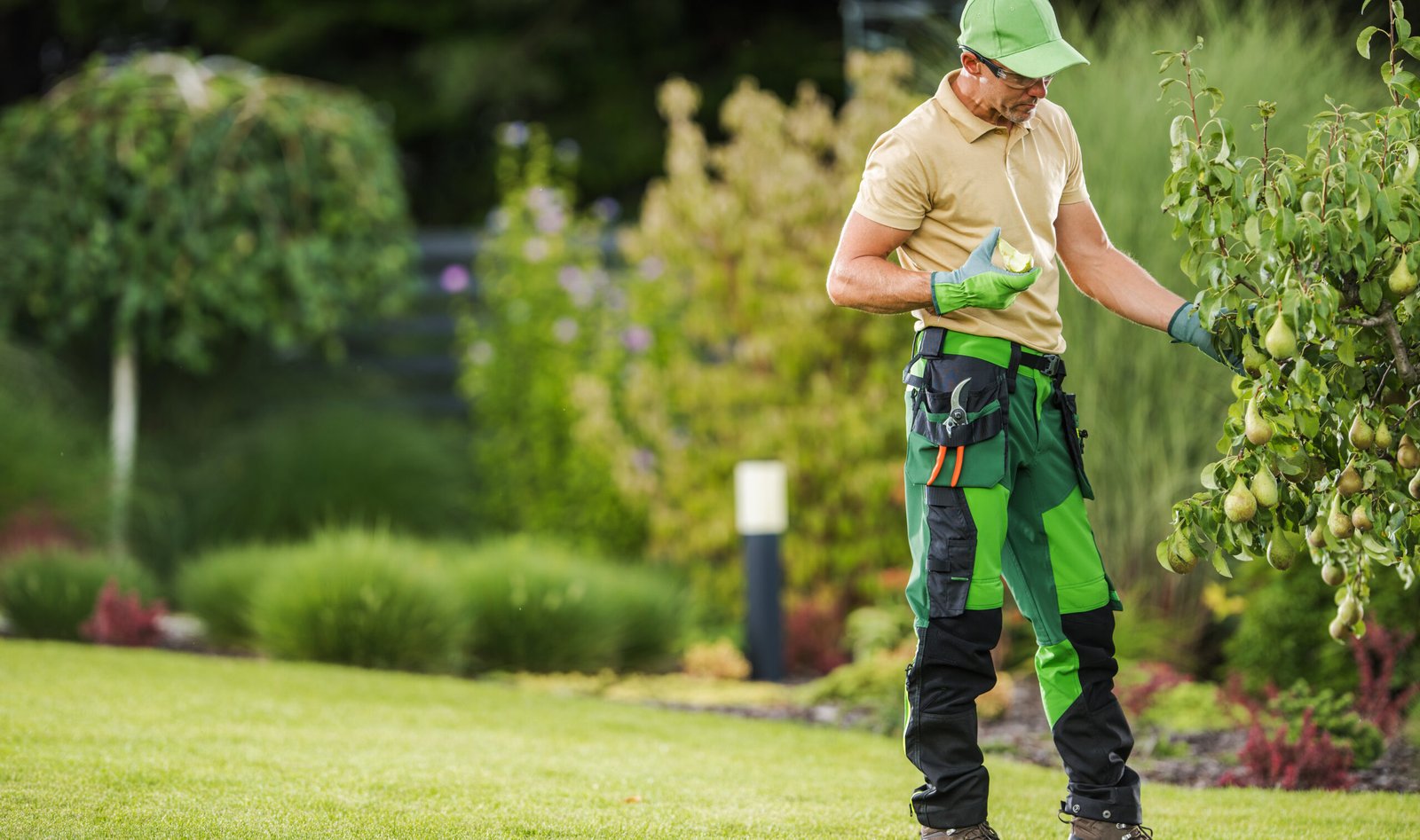 Devis remis en main propre avant une intervention de jardinage à Saint-Amand-les-Eaux