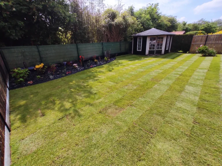 Jardin aménagé avec pelouse en bandes et petit abri au fond, clôtures vertes et massifs fleuris