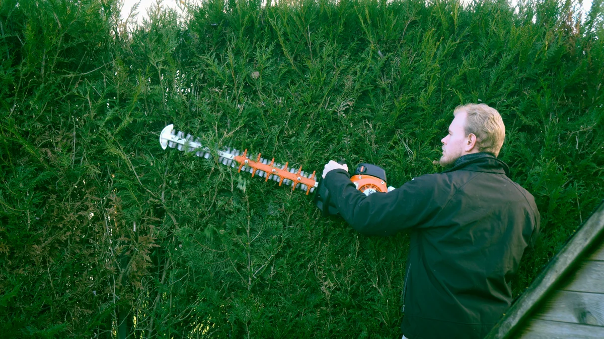 Capture_decran_2026-02-06_161428