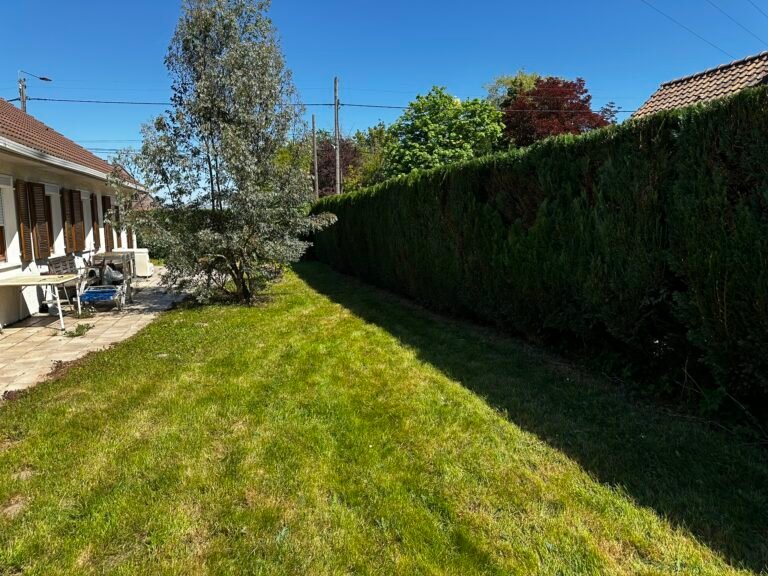 Un jardin avec une grande pelouse bien tondue, bordé d'une haie de thuyas taillée régulièrement