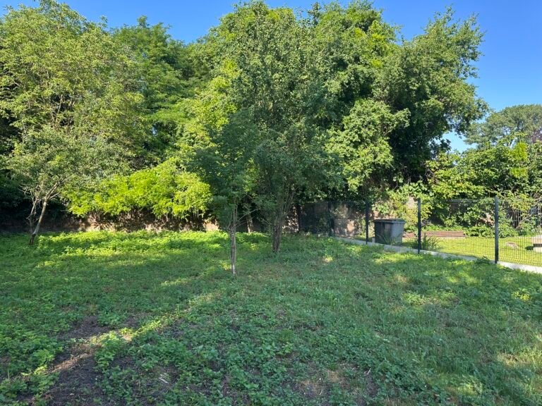Terrain herbeux entouré d'arbres feuillus avec bâtiment en pierre et clôture métallique par temps ensoleillé